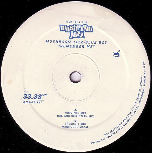 Blue Boy - Remember Me