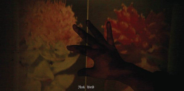 Flesh World