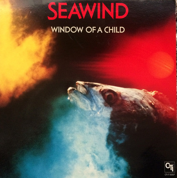 Window Of A Child