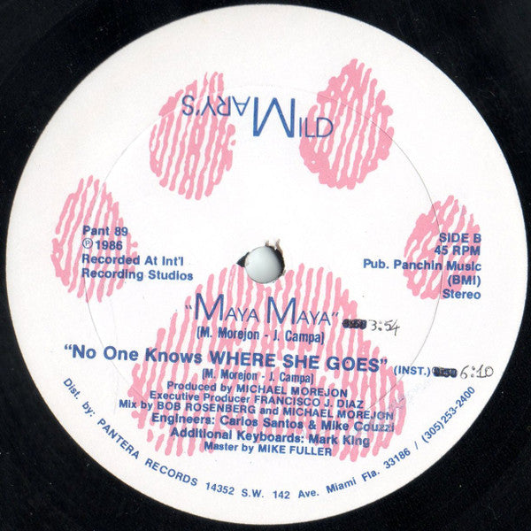 Wild Mary - No One Knows Where She Goes