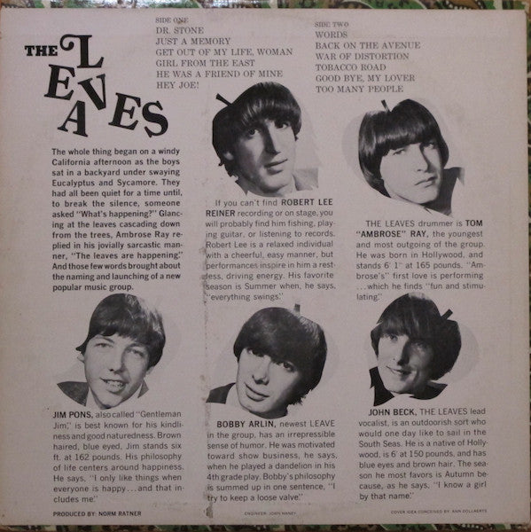 Leaves, The - Hey Joe