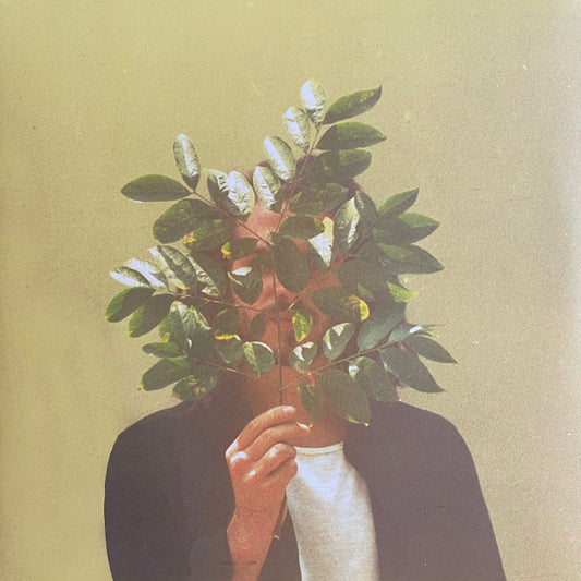 FKJ - French Kiwi Juice