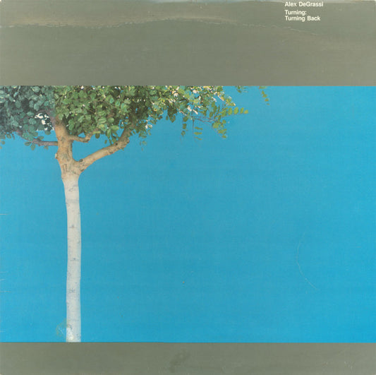 Alex De Grassi - Turning: Turning Back