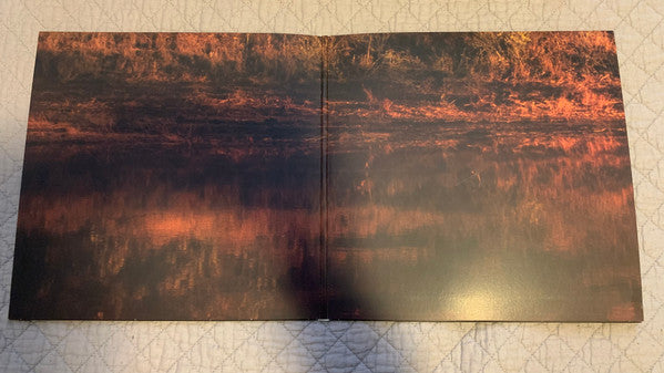 Hollywood's Bleeding