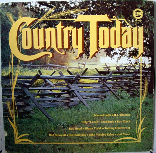 Various - Country Today