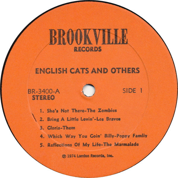 English Cats & Others