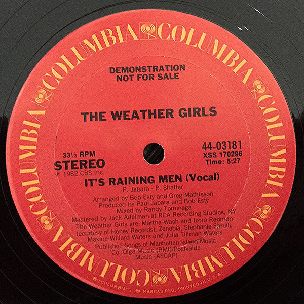 Weather Girls, The - It's Raining Men