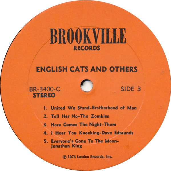 English Cats & Others