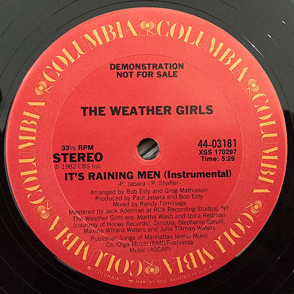 Weather Girls, The - It's Raining Men