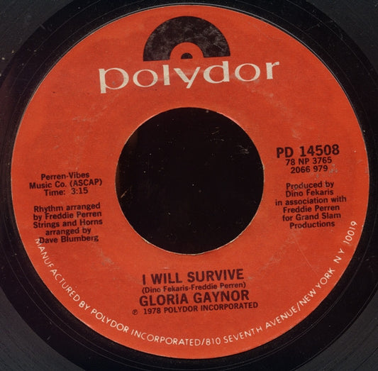 Gloria Gaynor - I Will Survive