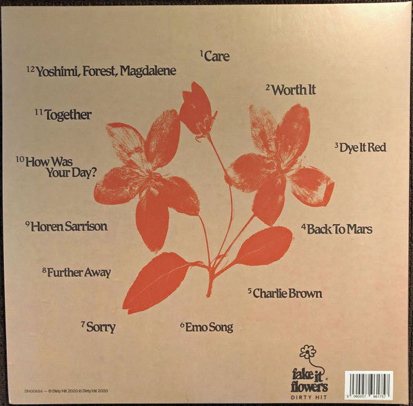 beabadoobee - Fake It Flowers