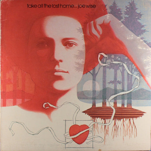 Joe Wise - Take All The Lost Home