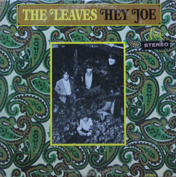 Leaves, The - Hey Joe