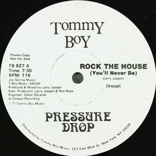 Rock The House (You'll Never Be)