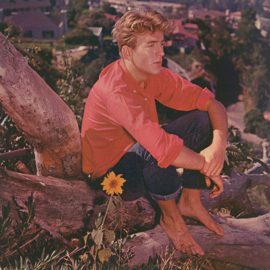 Rod McKuen - Songs For A Lazy Afternoon