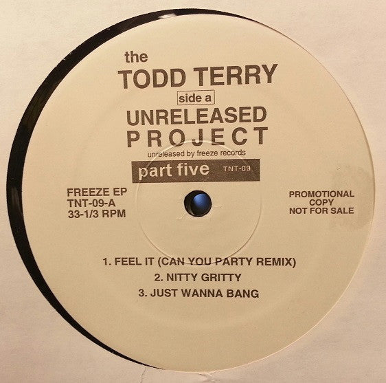 The Todd Terry Unreleased Project Part 5