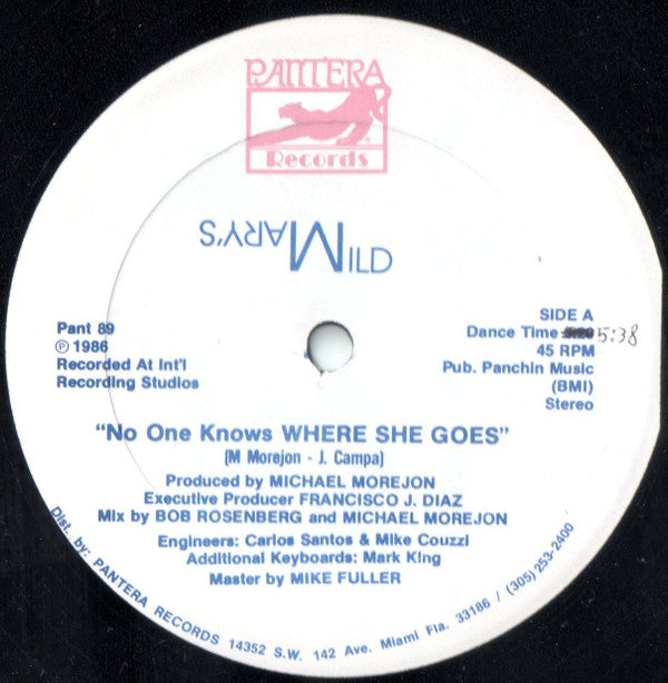 Wild Mary - No One Knows Where She Goes