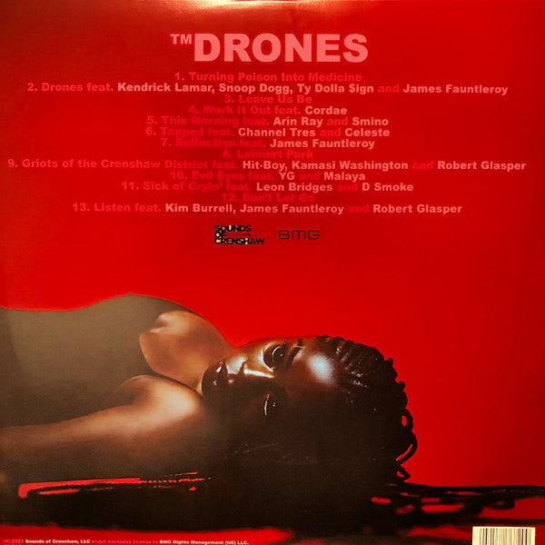 Terrace Martin - Drones